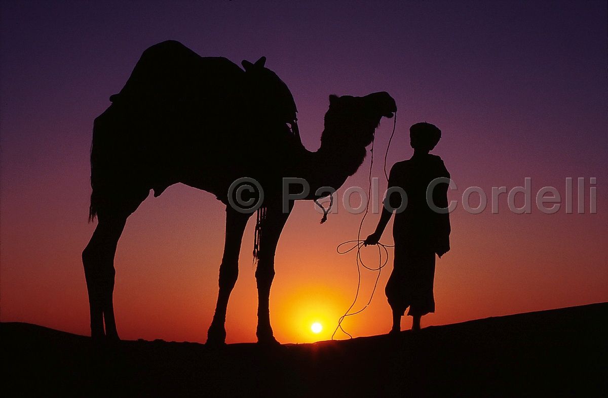 Camel guide, Jaisalmer, Rajasthan, India
 (cod:India 09)